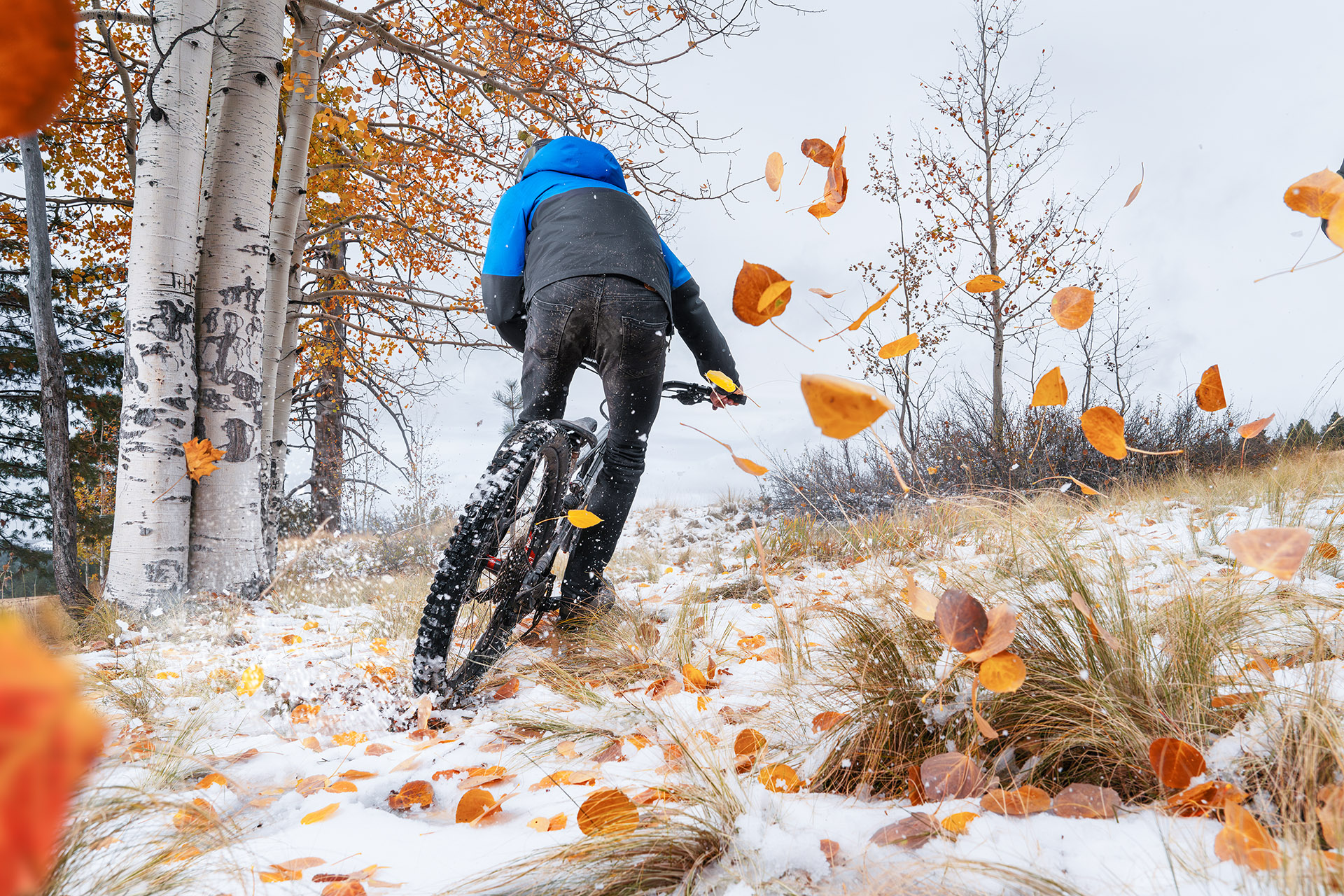 A mountain biker photographed by Arizona Photographer Blair Bunting